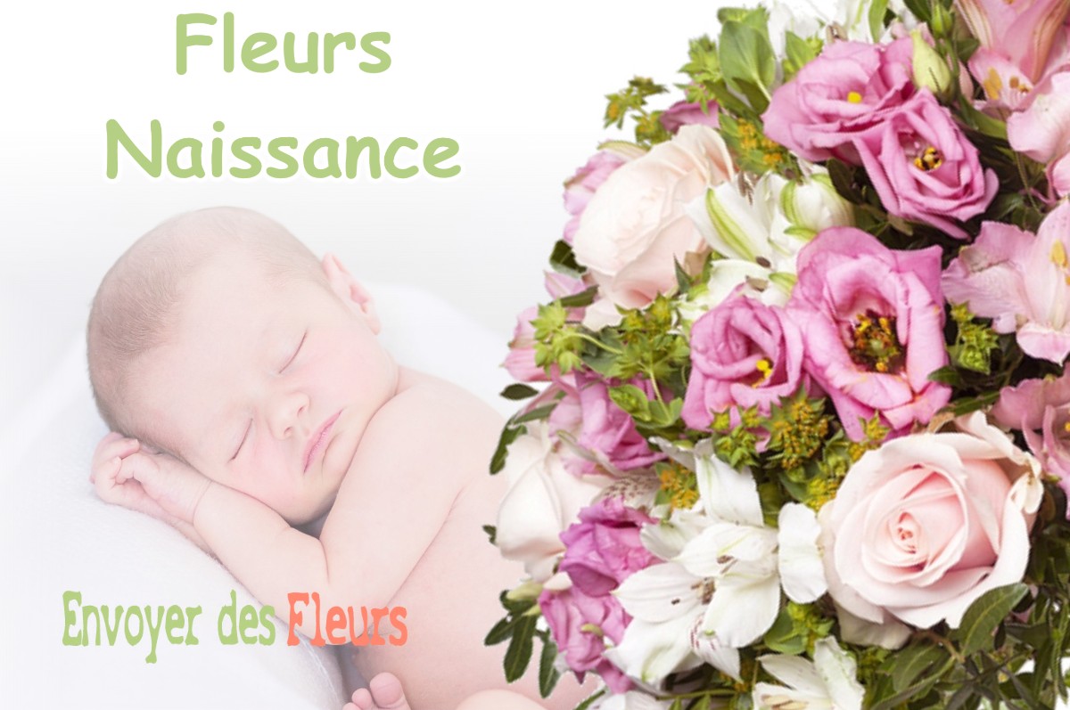 lIVRAISON FLEURS NAISSANCE à BOULOGNE-BILLANCOURT